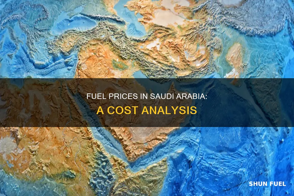 how much is fuel in saudi arabia