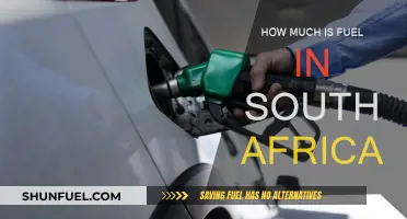 Fuel Prices in South Africa: A Costly Affair