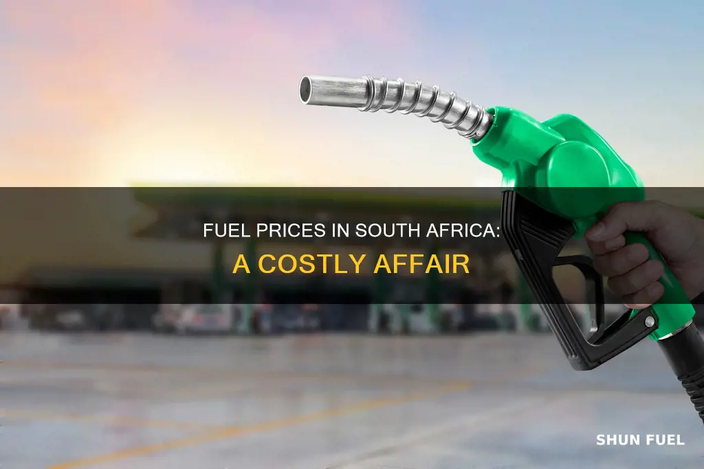 how much is fuel in south africa
