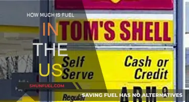 Fuel Prices Across the US Explored