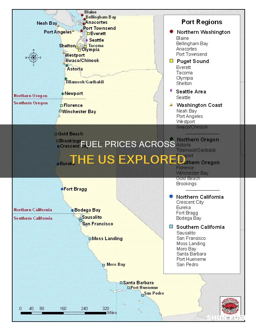 how much is fuel in the us