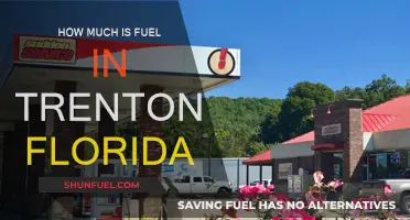 Trenton, Florida: Current Fuel Prices