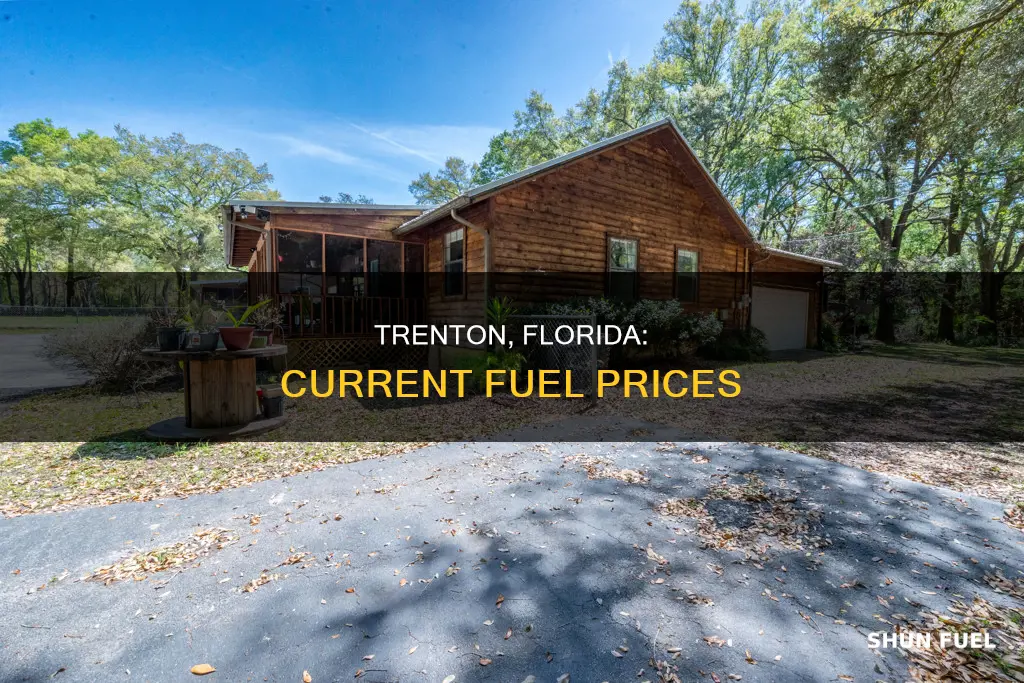 how much is fuel in trenton florida