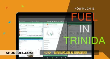 Fuel Prices in Trinidad: How Much Does It Cost?