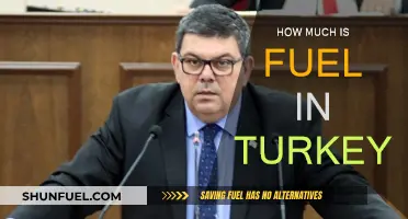 Fuel Prices in Turkey: How Much Does It Cost?