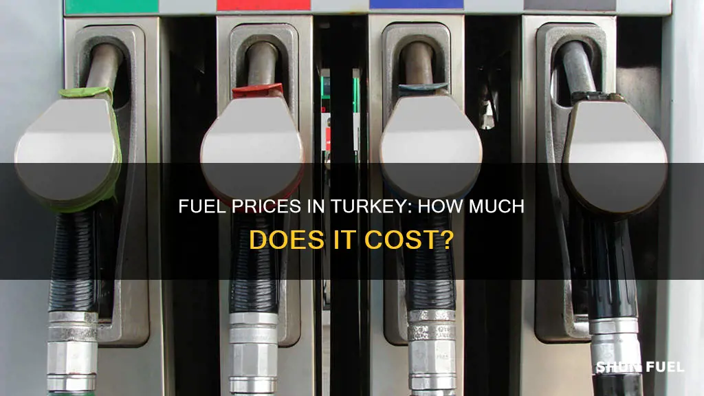 how much is fuel in turkey