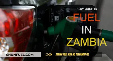 Fuel Prices in Zambia: Current Costs and Impacts