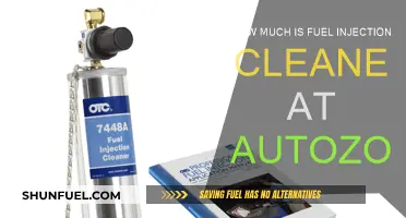 Fuel Injection Cleaner Costs at AutoZone: How Much?