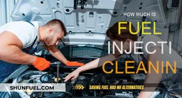 Fuel Injection Cleaning: Cost and Benefits