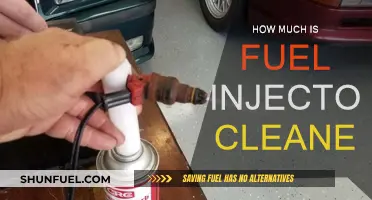 Fuel Injector Cleaning: Cost-Effective Engine Maintenance