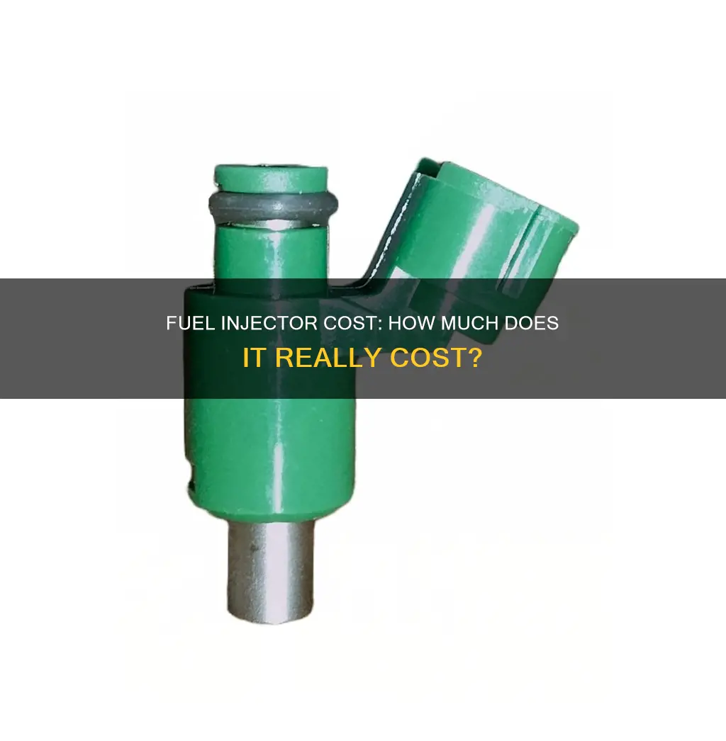 how much is fuel injector