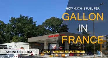 Fuel Prices in France: Cost per Gallon