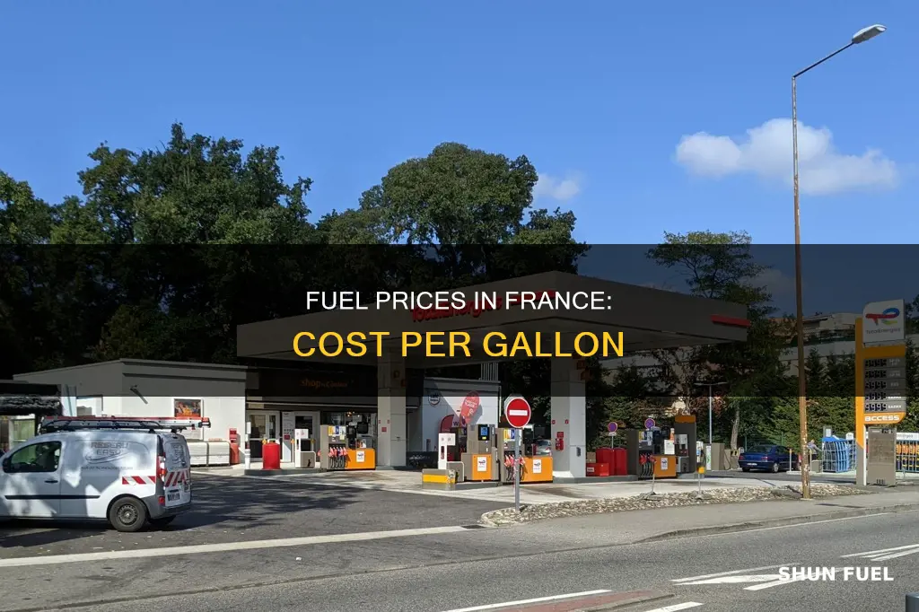 how much is fuel per gallon in france