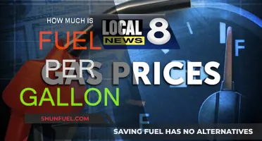 Fuel Prices: The Cost of Gallon Today