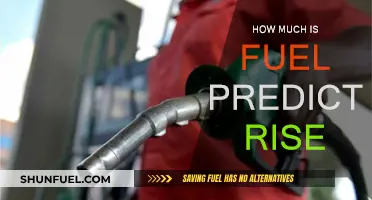 The Rising Cost of Fuel: Predictions and Impact