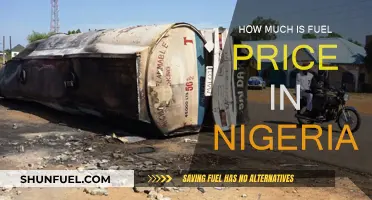 Fuel Price in Nigeria: Costly Commute