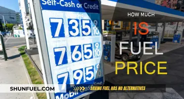 Fuel Price Fluctuations: How Much Does it Cost?
