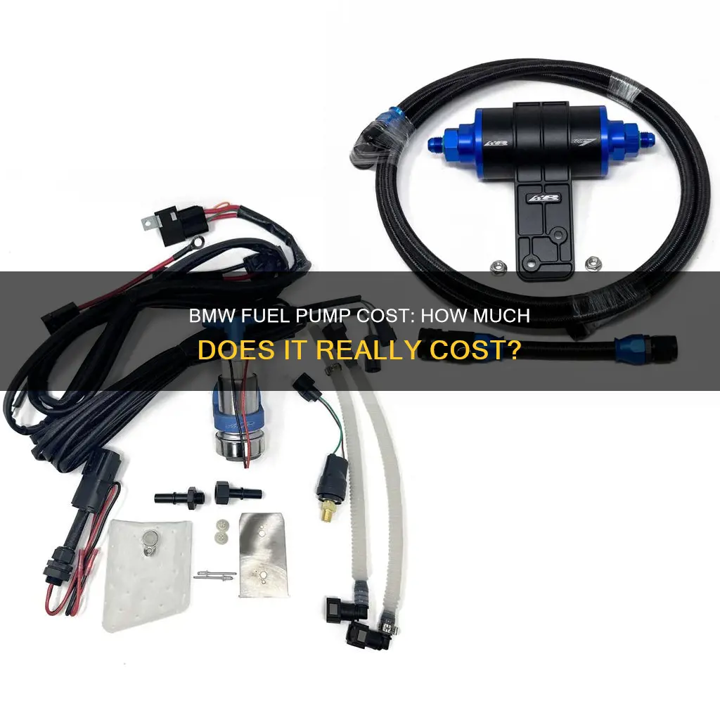 how much is fuel pump for bmw