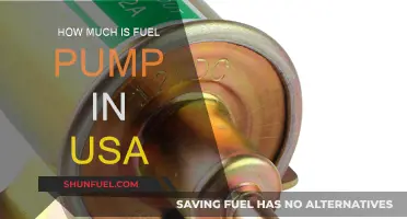 Fuel Pump Costs: The USA Breakdown