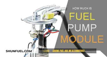 Fuel Pump Module Cost: What's the Price Tag?