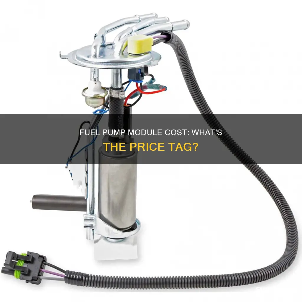 how much is fuel pump module