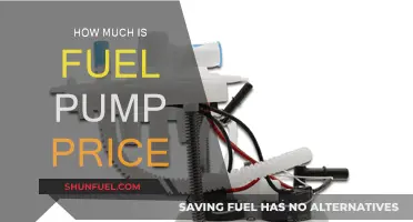 Fuel Pump Prices: How Much Does it Cost?