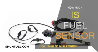 Fuel Sensor Cost: How Much Does It Really Cost?