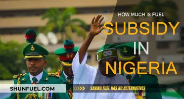 Fuel Subsidy: Nigeria's Costly Affair