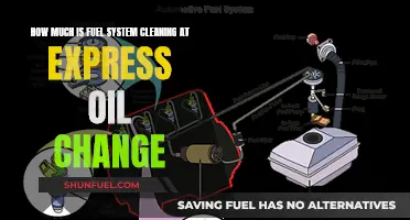 Express Oil Change: Fuel System Cleaning Costs Explained