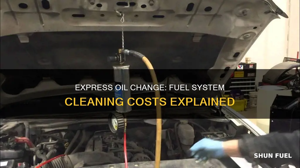 how much is fuel system cleaning at express oil change