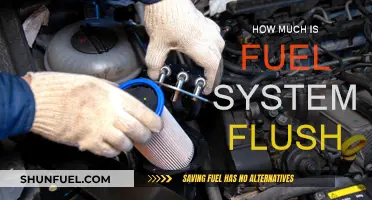 Fuel System Flush: Cost and Benefits