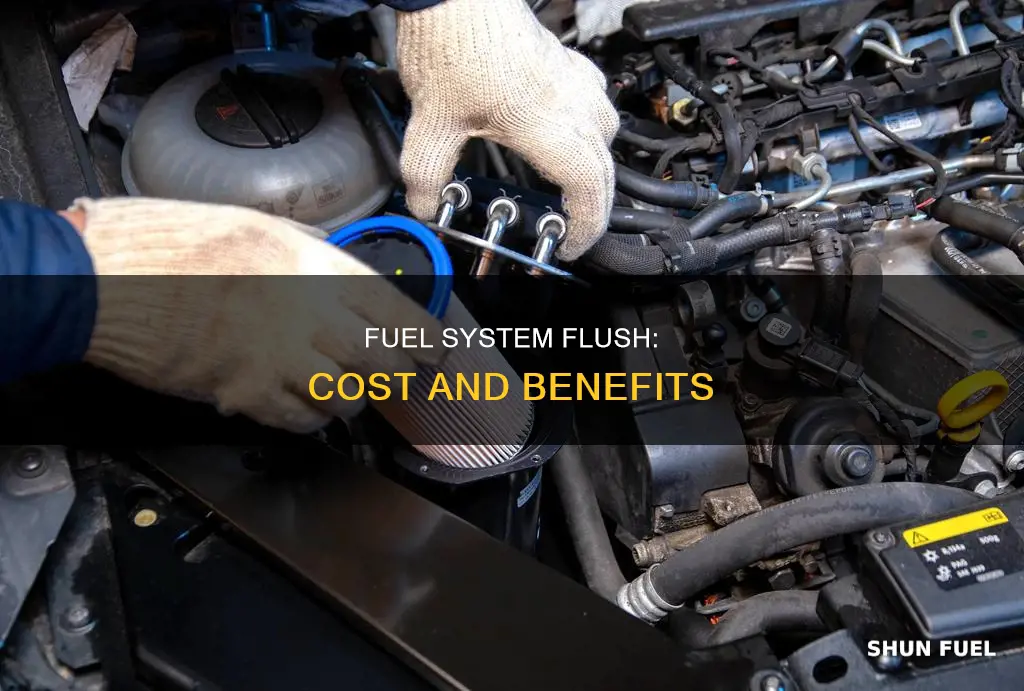 how much is fuel system flush