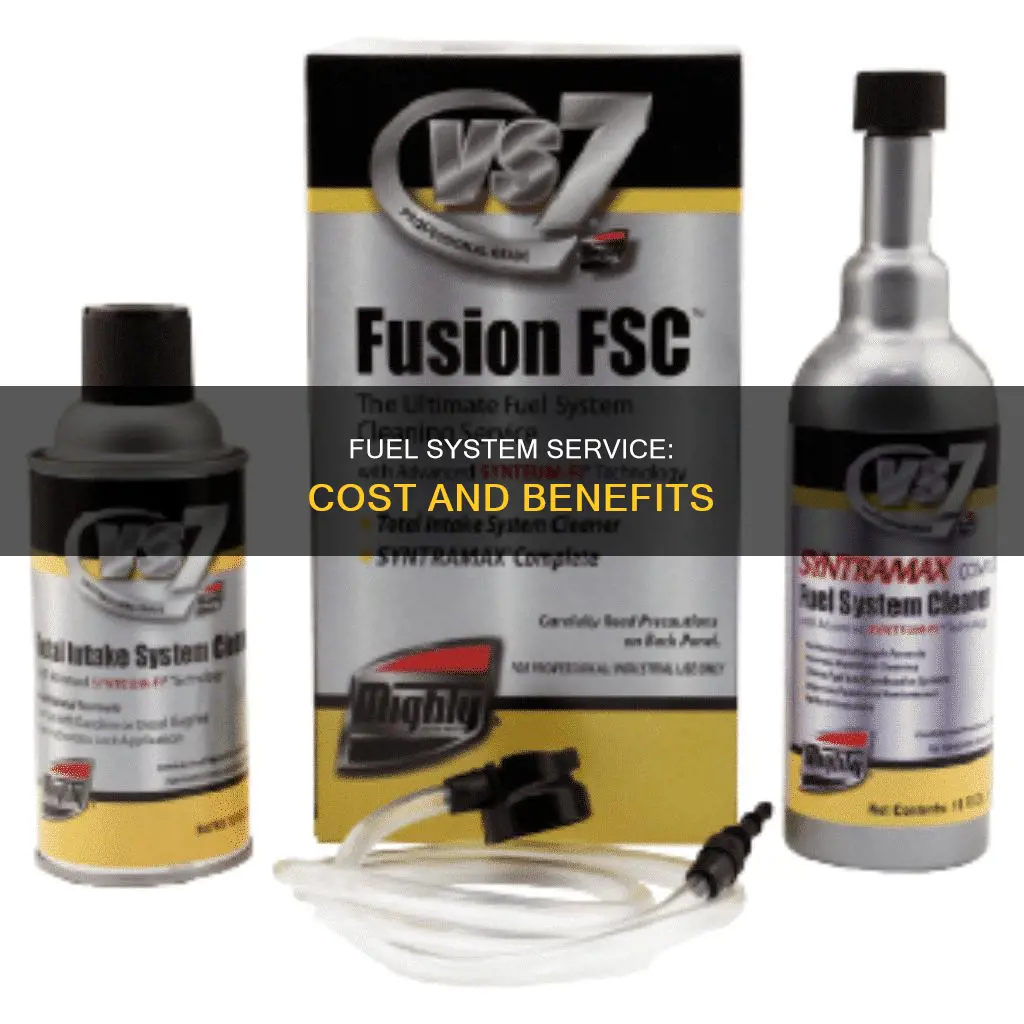 how much is fuel system service