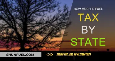 Fuel Tax Rates: A State-by-State Comparison