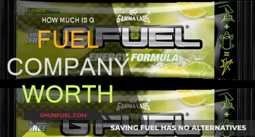 GFuel's Net Worth: A Comprehensive Overview