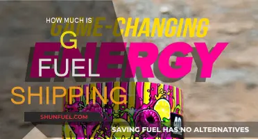 GFuel Shipping Costs: How Much Does it Cost?