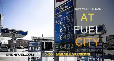 Fuel City Gas Prices: How Much Does it Cost?