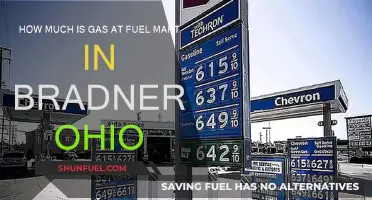 Fuel Mart Bradner, Ohio: Gas Prices Examined