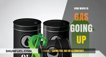The Rising Gas Prices: How High Will They Go?