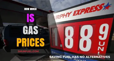Gas Prices: How High Will They Go?
