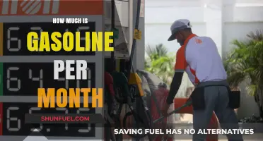 Gasoline Expenses: Monthly Costs and Fluctuations