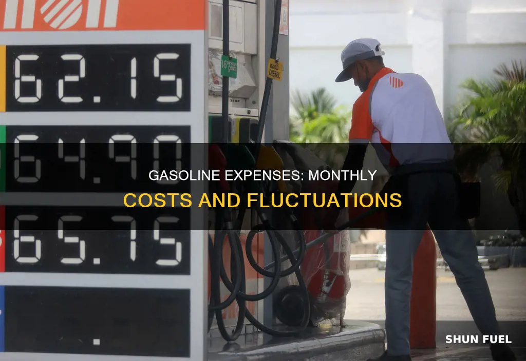 how much is gasoline per month