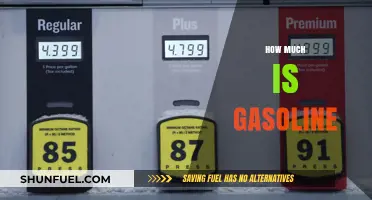 The Cost of Gasoline: A Rising Concern