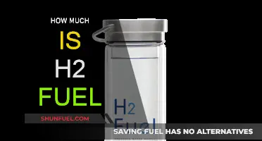 The Expense of Hydrogen Fuel: A Costly Affair