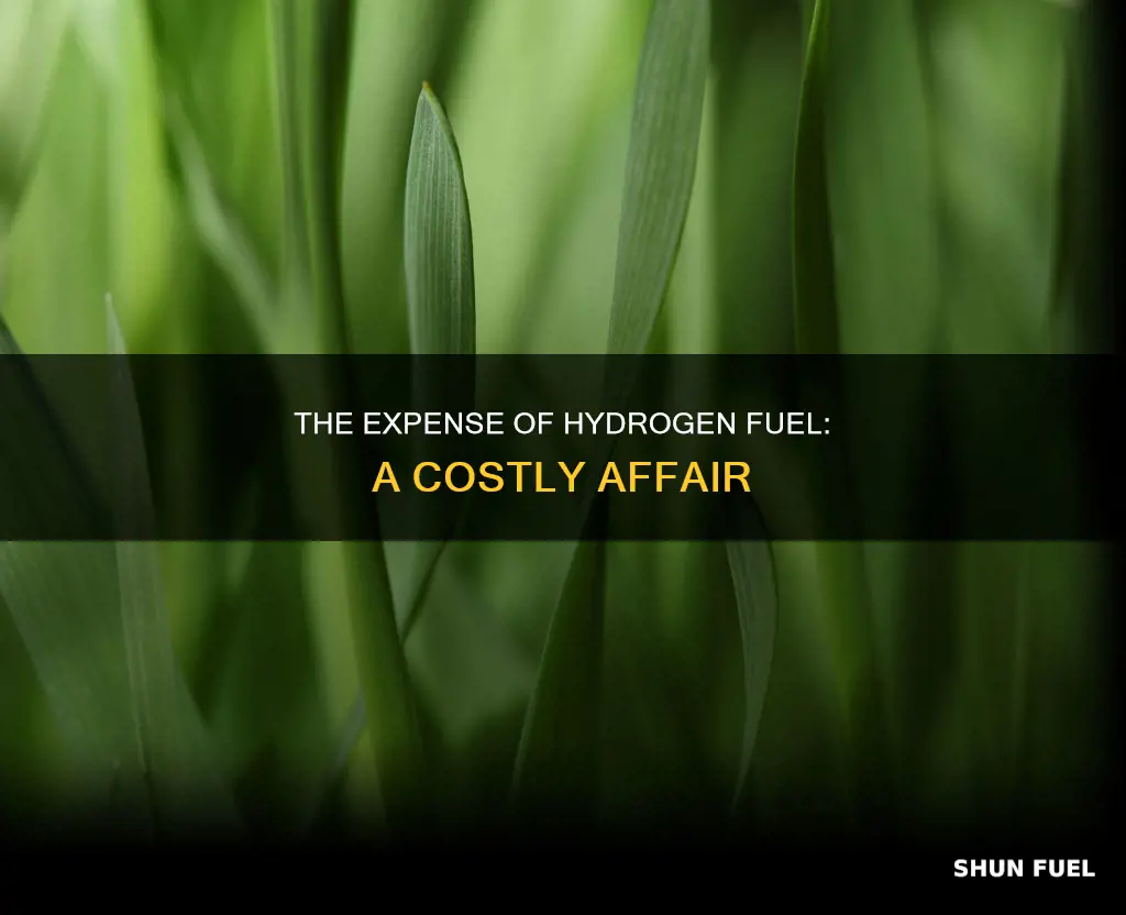how much is h2 fuel