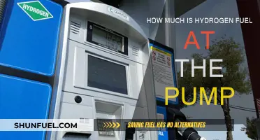 Hydrogen Fuel Pump Prices: What's the Cost?