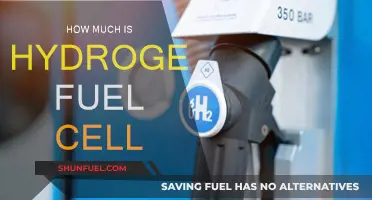 Hydrogen Fuel Cell Costs: Expensive Energy Alternative