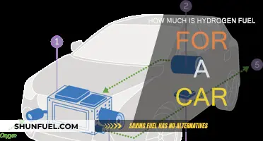 Hydrogen Fuel for Cars: Cost Analysis