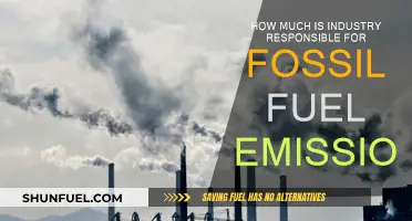 Industry's Role in Fossil Fuel Emissions