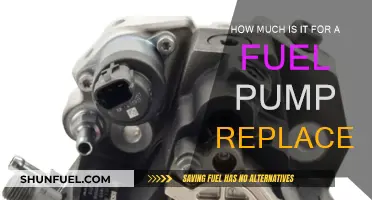 Fuel Pump Replacement: Cost and When to Change It